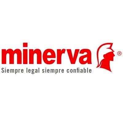 Forma Comprobante de Diario por 100 Minerva 4014