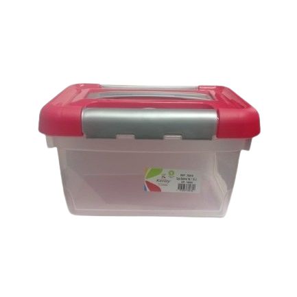 Caja Organizadora Plastica de 5 Litros Con Agarre en Tapa