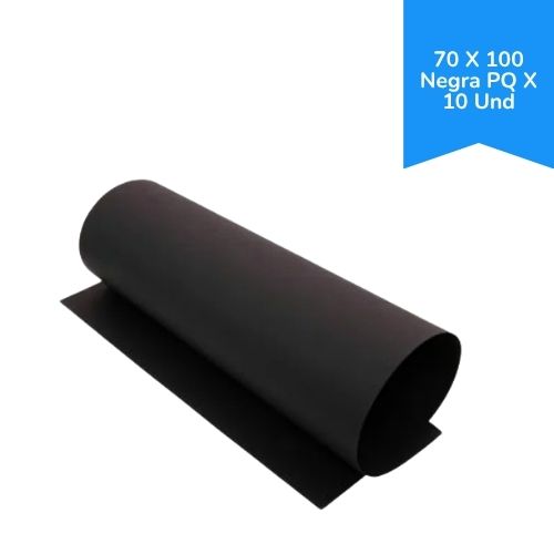 Cartulina Bristol Pliego 70 X 100 Negra Paq X 10 Und