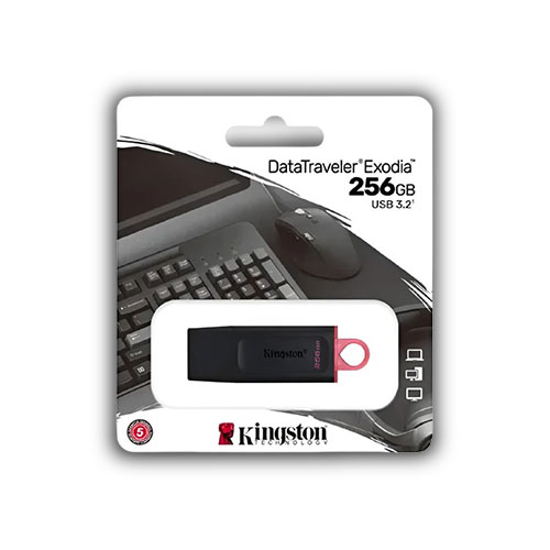 Memoria Usb Kingston 256 Gb 3.2 Exodia Dtxs