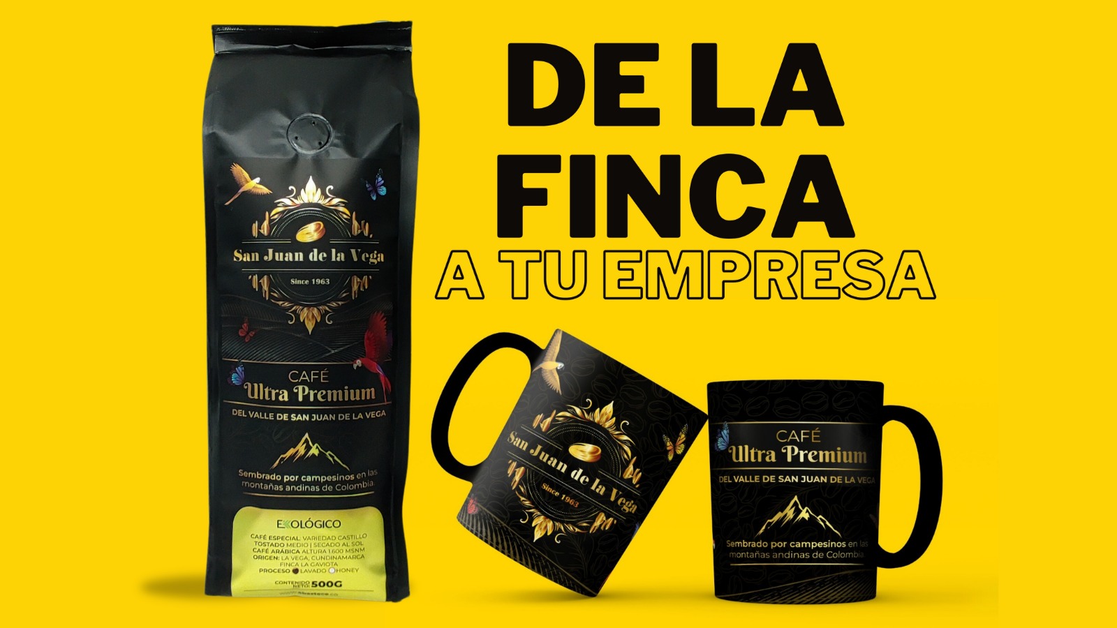 Cómo elegir el mejor café colombiano