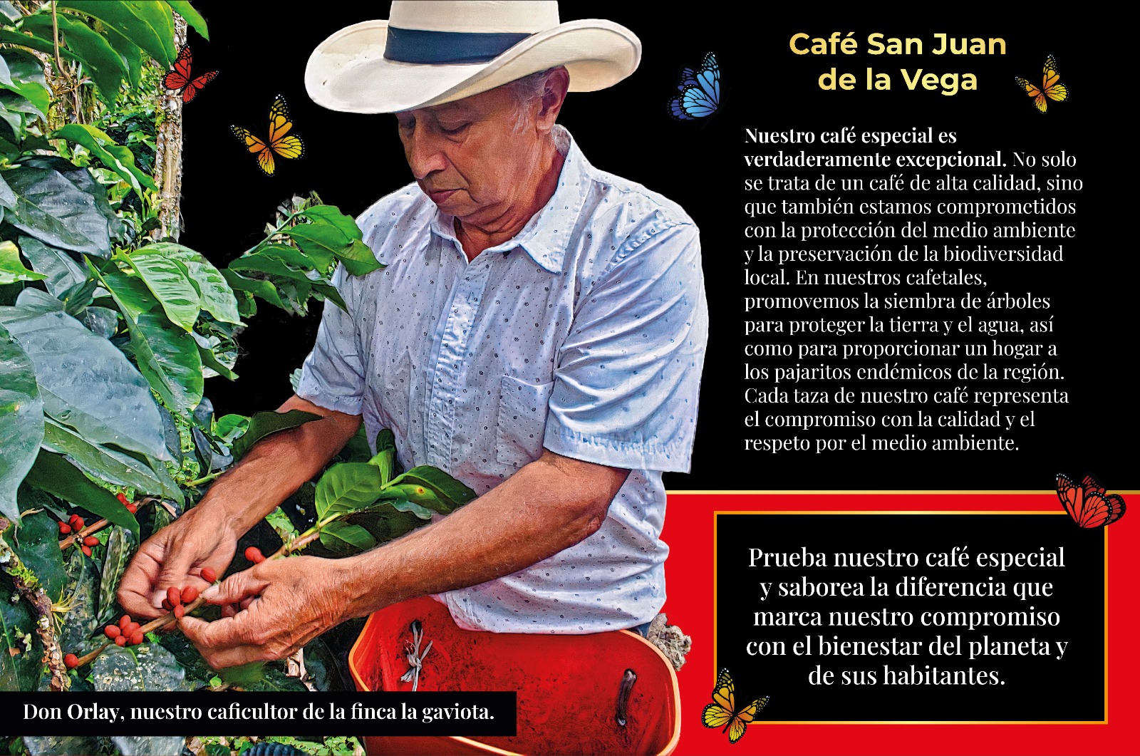 Beneficios del café de altura colombiano